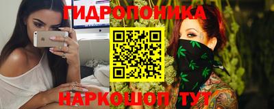 mdpv Новодвинск