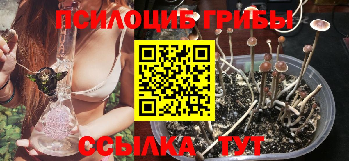 Галлюциногенные грибы мухоморы Пушкино