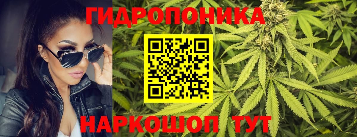 Марихуана семена  Вход с VPN  Шишки марихуана семена  Пушкино 